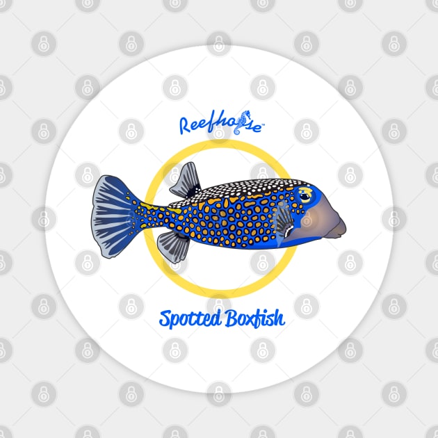 Spotted Boxfish Magnet by Reefhorse